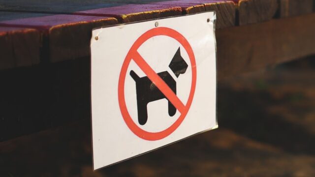 ~ NO DOGS AT PRESCOTT ~

As the final preparations are made ahead of the National Ferrari Owners' Day at Prescott this weekend, members are advised that in order to comply with the regulations of MSUK, all animals including dogs are not allowed anywhere at the venue or Prescott estate with the exception of assistance dogs. This policy is in place to ensure a clean and safe environment for all attendees and competitors.